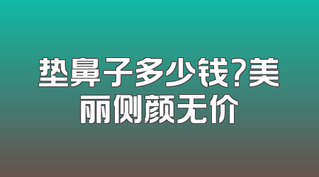 垫鼻子多少钱？美丽侧颜无价