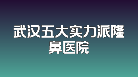 武汉五大实力派隆鼻医院