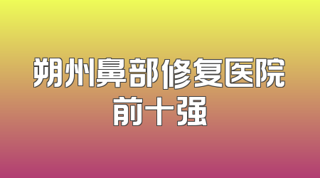 朔州鼻部修复医院前十强