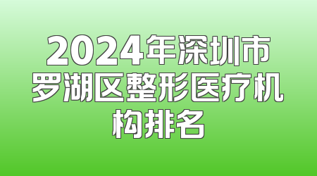 2024年深圳市罗湖区整形医疗机构排名