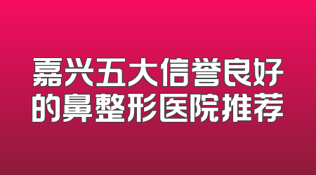 嘉兴五大信誉良好的鼻整形医院推荐