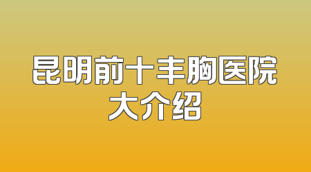 昆明前十丰胸医院大介绍