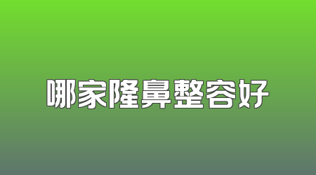 哪家隆鼻整容好