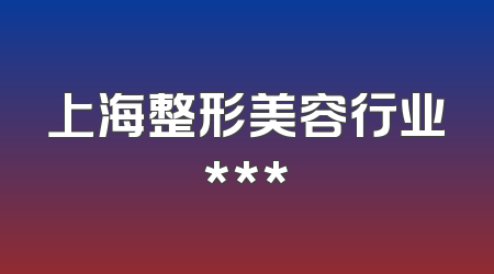 上海整形美容行业***