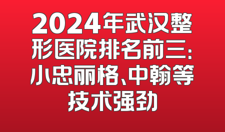 2024年武汉整形医院排名前三：小忠丽格、中翰等技术强劲