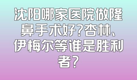沈阳哪家医院做隆鼻手术好？杏林、伊梅尔等谁是胜利者？