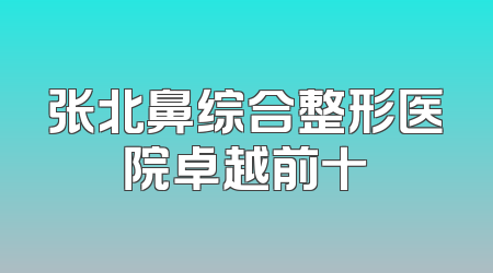 张北鼻综合整形医院卓越前十