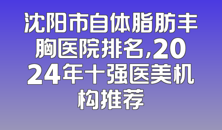 沈阳市自体脂肪丰胸医院排名，2024年十强医美机构推荐