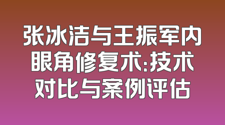 张冰洁与王振军内眼角修复术：技术对比与案例评估