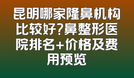 昆明哪家隆鼻机构比较好？鼻整形医院排名+价格及费用预览