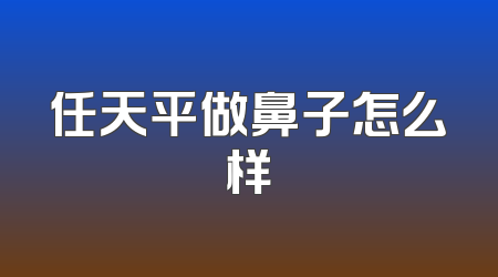 任天平做鼻子怎么样