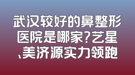 武汉较好的鼻整形医院是哪家？艺星、美济源实力领跑