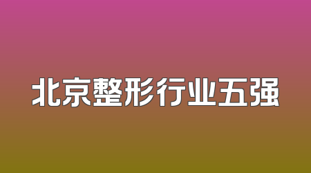北京整形行业五强
