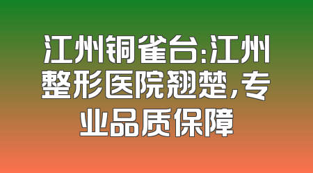 江州铜雀台：江州整形医院翘楚，专业品质保障