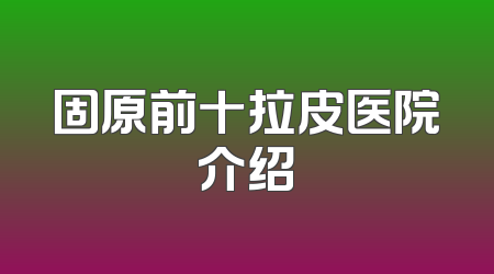 固原前十拉皮医院介绍
