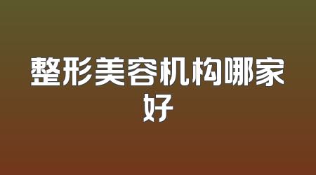 整形美容机构哪家好
