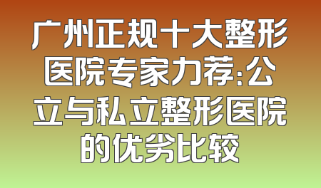 广州正规十大整形医院专家力荐：公立与私立整形医院的优劣比较
