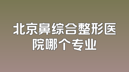 北京鼻综合整形医院哪个专业