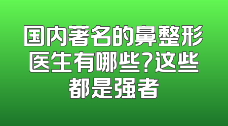 国内著名的鼻整形医生有哪些？这些都是强者