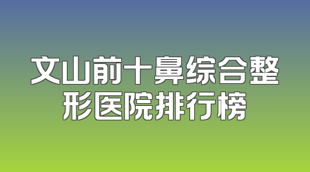 文山前十鼻综合整形医院排行榜