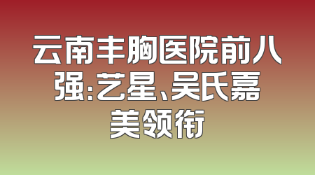 云南丰胸医院前八强：艺星、吴氏嘉美领衔