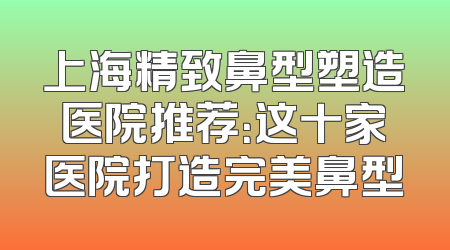上海精致鼻型塑造医院推荐：这十家医院打造完美鼻型