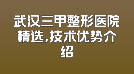 武汉三甲整形医院精选，技术优势介绍