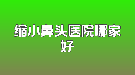 缩小鼻头医院哪家好
