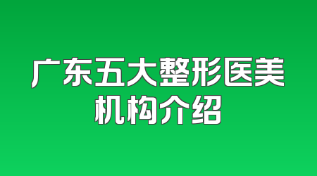 广东五大整形医美机构介绍