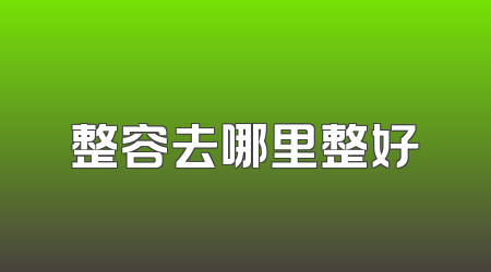 整容去哪里整好
