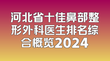 河北省十佳鼻部整形外科医生排名综合概览2024