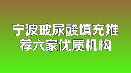 宁波玻尿酸填充推荐六家优质机构