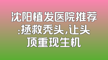 沈阳植发医院推荐：拯救秃头，让头顶重现生机