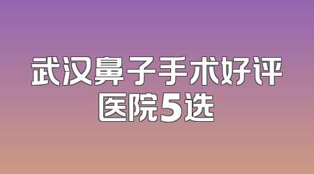 武汉鼻子手术好评医院5选