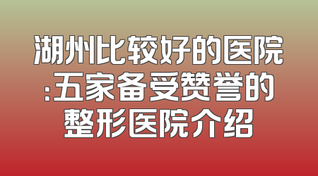 湖州比较好的医院：五家备受赞誉的整形医院介绍
