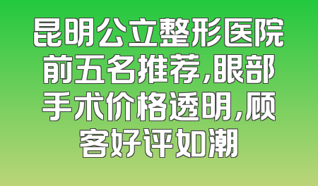 昆明公立整形医院前五名推荐，眼部手术价格透明，顾客好评如潮