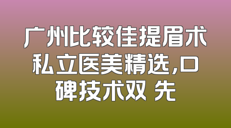 广州比较佳提眉术私立医美精选，口碑技术双領先