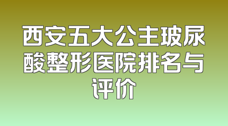西安五大公主玻尿酸整形医院排名与评价