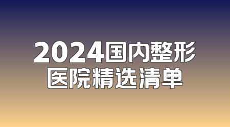 2024国内整形医院精选清单