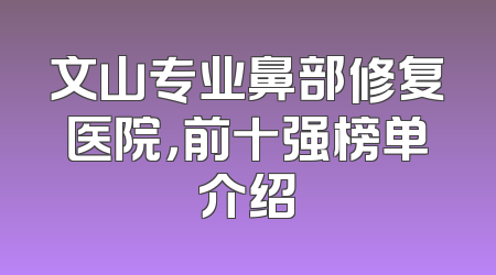 文山专业鼻部修复医院，前十强榜单介绍