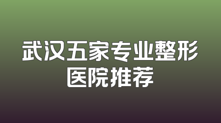 武汉五家专业整形医院推荐