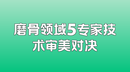 磨骨领域5专家技术审美对决