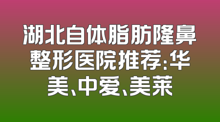 湖北自体脂肪隆鼻整形医院推荐：华美、中爱、美莱