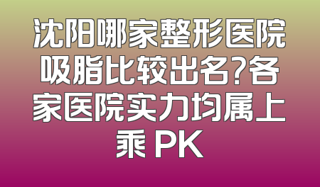 沈阳哪家整形医院吸脂比较出名？各家医院实力均属上乘 PK