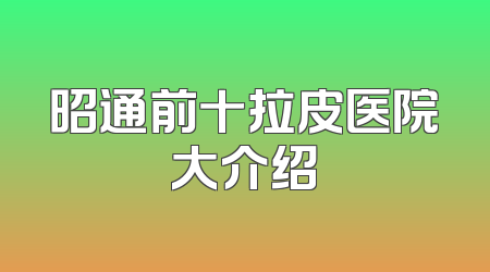 昭通前十拉皮医院大介绍