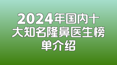 2024年国内十大知名隆鼻医生榜单介绍