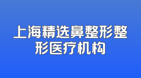 上海精选鼻整形整形医疗机构