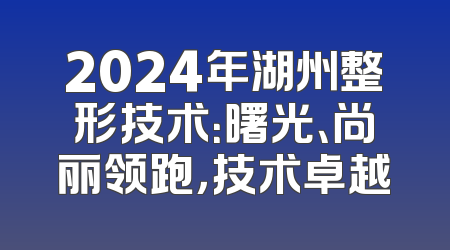 2024年湖州整形技术：曙光、尚丽领跑，技术卓越