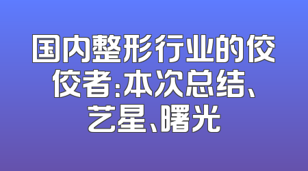 国内整形行业的佼佼者：本次总结、艺星、曙光