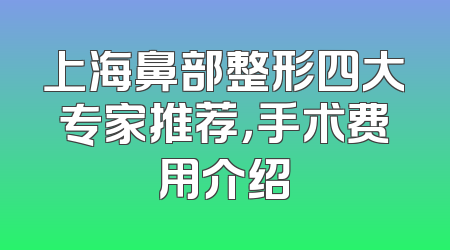 上海鼻部整形四大专家推荐，手术费用介绍